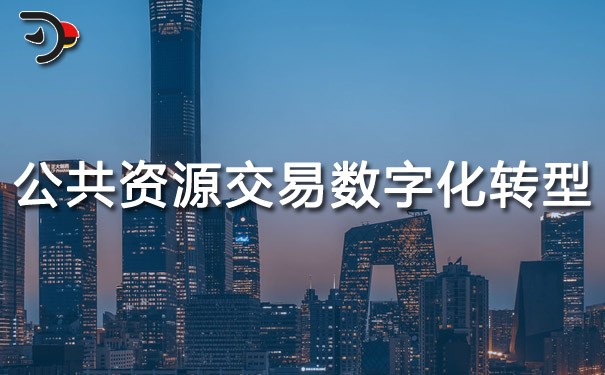 chat公共資源交易數(shù)字化轉(zhuǎn)型.jpg